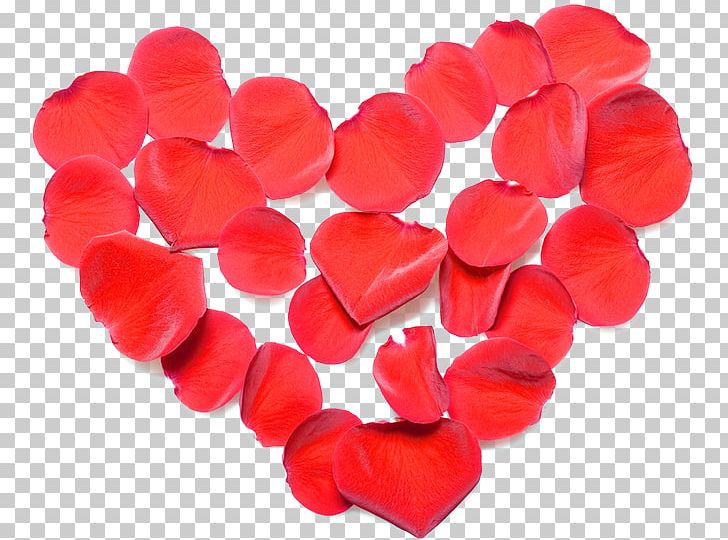 Valentine's Day Love Heart Red PNG, Clipart,  Free PNG Download