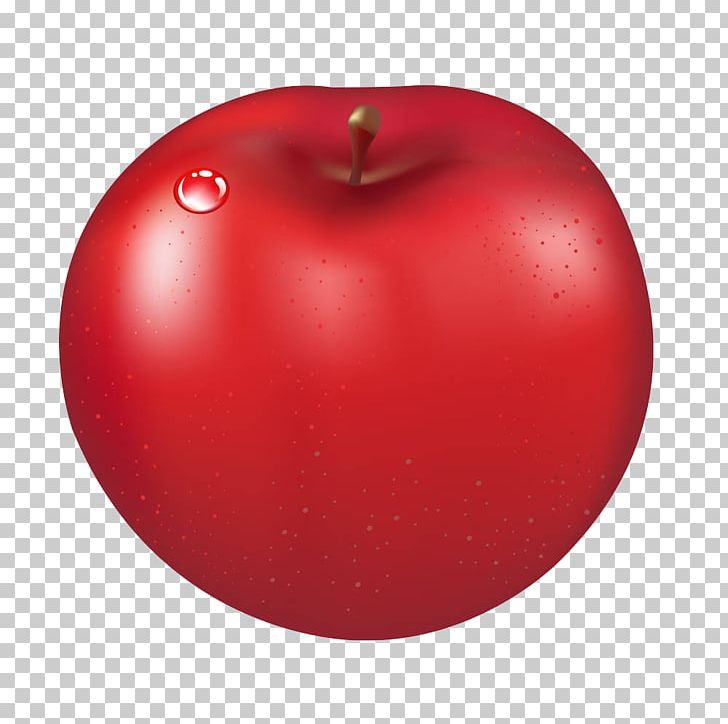 Apple PNG, Clipart, Apple, Christmas Ornament, Crisp, Crisp And Sweet, Download Free PNG Download