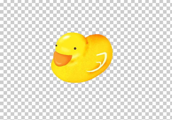 Duck Beak Bird Cygnini Goose PNG, Clipart, Anatidae, Animals, Beak, Bird, Child Free PNG Download