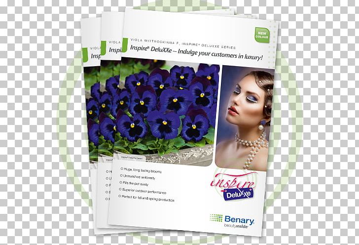 Formula 1 Wax Begonia Advertising Hair Coloring PNG, Clipart, Advertising, Bed Head, Begonia, Brand, Catalog Free PNG Download