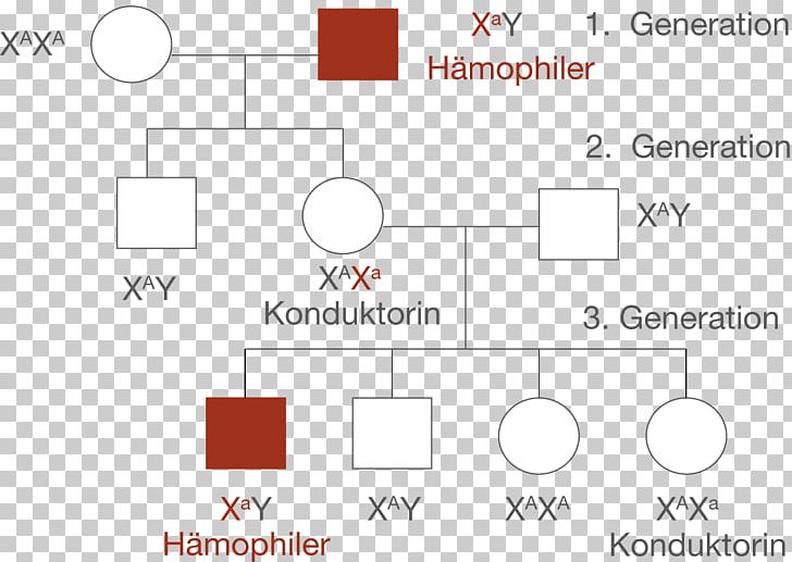 Haemophilia Stammbaumanalyse Allel Recesywny Genetic Disorder Rot-Grün-Sehschwäche PNG, Clipart, Angle, Autosome, Brand, Circle, Cri Du Chat Syndrome Free PNG Download