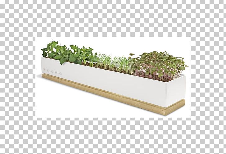 Herb Vegetable Microgreen Gardening Juice PNG, Clipart, Box, Cooking, Flower Box, Flowerpot, Food Drinks Free PNG Download