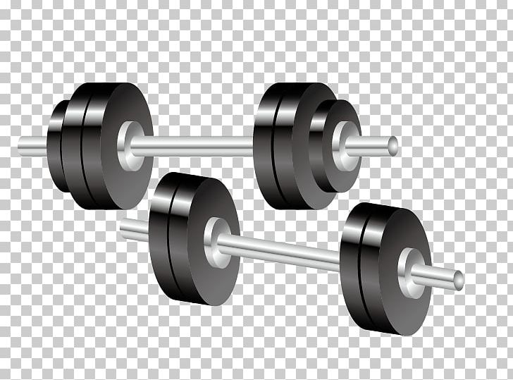 Sport Euclidean Ball Icon PNG, Clipart, Ball Game, Barbell Vector, Black, Cartoon, Equipment Free PNG Download
