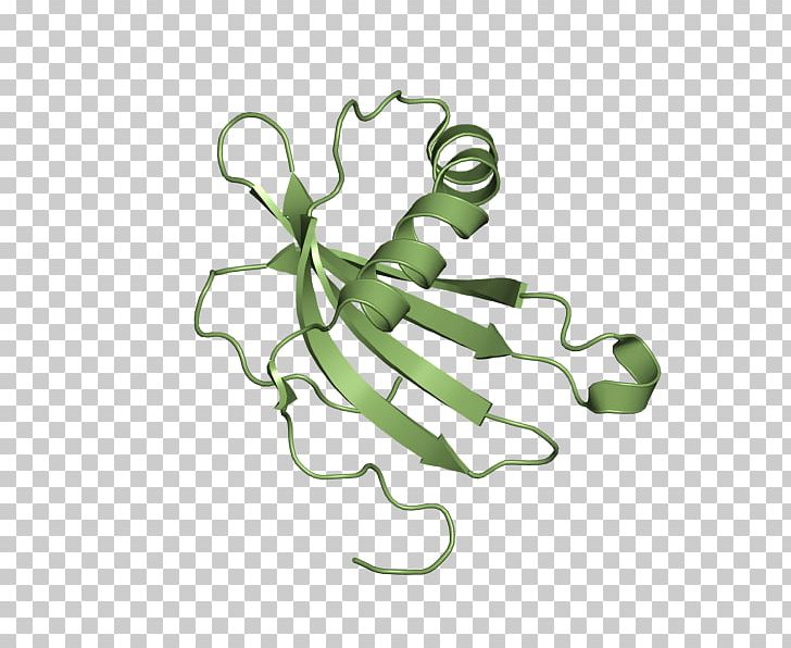 Cystatin A Wikipedia Protein Insect PNG, Clipart, Cystatin, Cysteine Protease, Encyclopedia, Food, Gene Free PNG Download