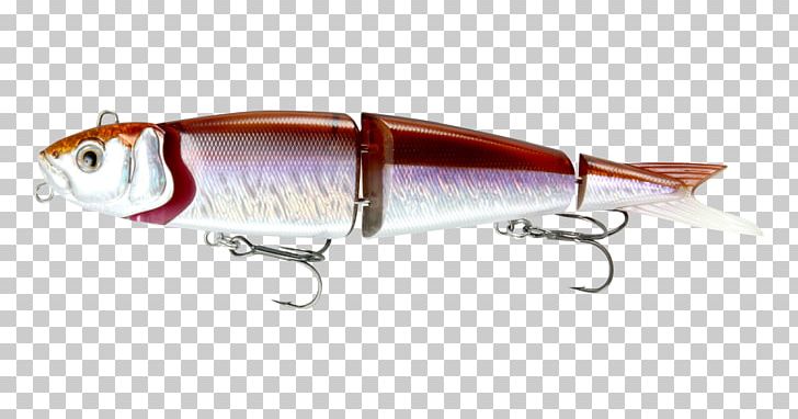 Fishing Baits & Lures Plug Swimbait Spoon Lure PNG, Clipart, Bait, Bony Fish, Bony Fishes, Fish, Fishery Free PNG Download