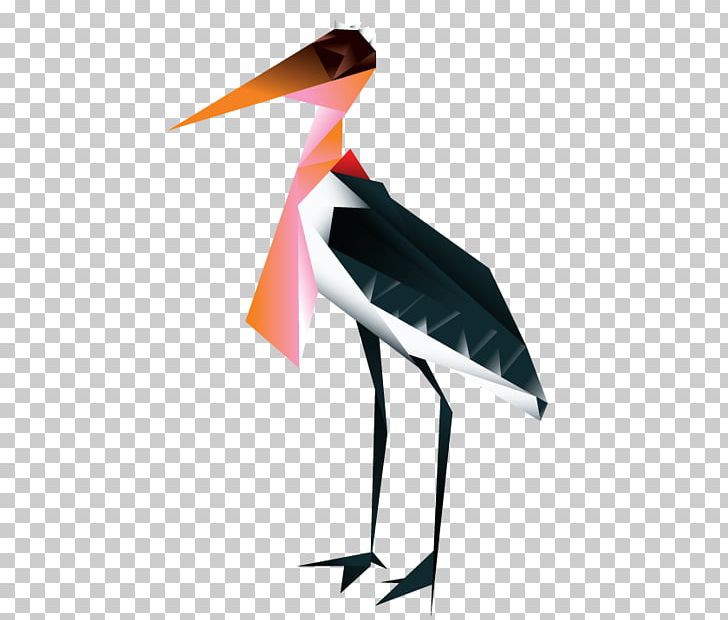 Water Bird Stork Crane Beak PNG, Clipart, Animals, Beak, Bird, Ciconiiformes, Crane Free PNG Download