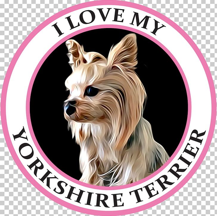 Yorkshire Terrier Australian Silky Terrier Morkie Puppy Companion Dog PNG, Clipart, Animals, Australian Silky Terrier, Breed, Carnivoran, Collar Free PNG Download