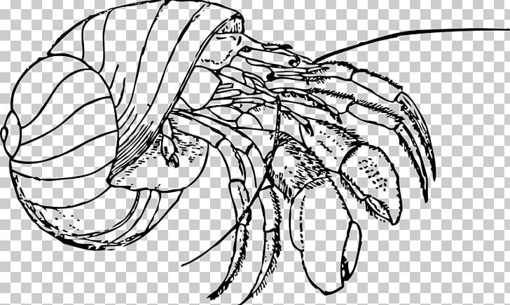 Hermit Crab Coloring Book Drawing PNG, Clipart, Animal, Arm, Artwork, Black And White, Book Free PNG Download