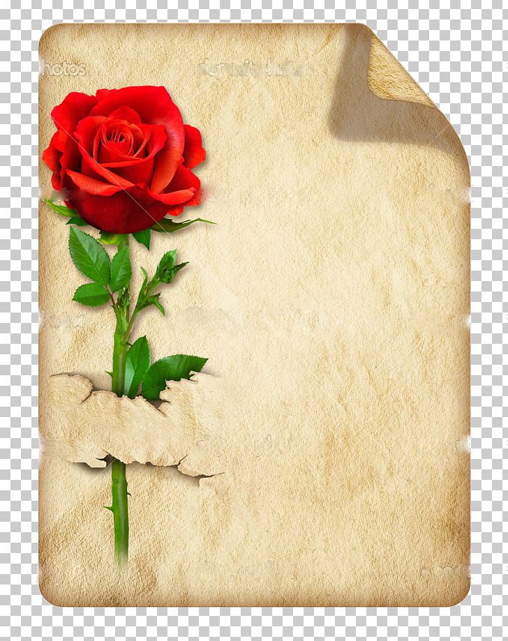 Printing And Writing Paper Parchment Letter Drawing PNG, Clipart, Floral Design, Flower, Flowering Plant, Garden Roses, Label Free PNG Download