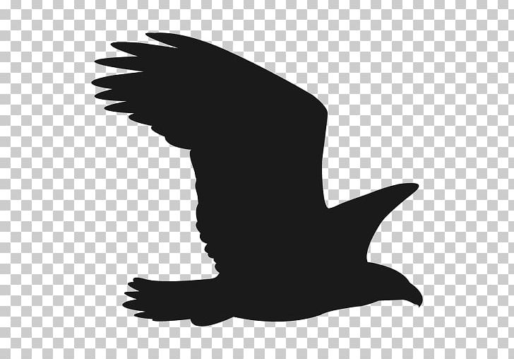 Silhouette Falcon PNG, Clipart, Beak, Bird, Bird Of Prey, Black And White, Eagle Free PNG Download