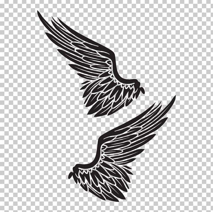 Bald Eagle High-definition Television Logo Desktop PNG, Clipart, Asfalt, Bald Eagle, Beak, Bird, Bird Of Prey Free PNG Download