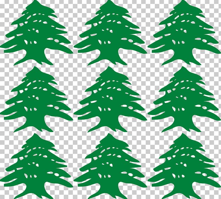 Fir Flag Of Lebanon Cedrus Libani PNG, Clipart, Cedar, Cedrus Libani, Conifer, Fir, Flag Free PNG Download