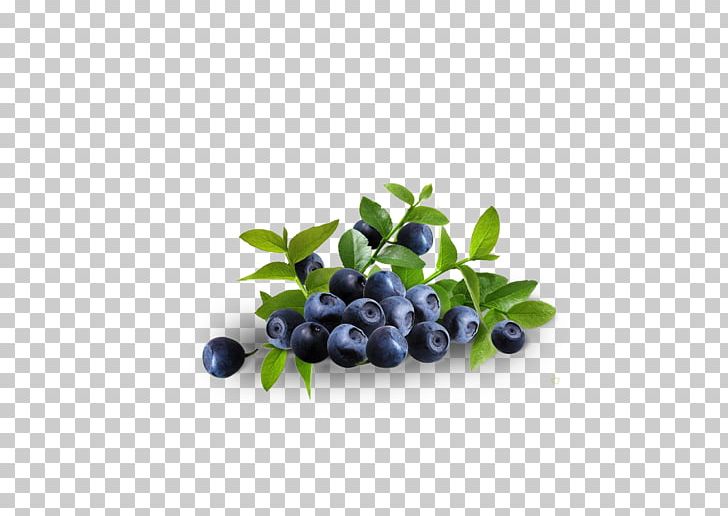 Dietary Supplement Bilberry Blueberry Herb Fruit PNG, Clipart, Bilberry, Black Grapes, Blueberry, Cantaloupe, Computer Wallpaper Free PNG Download