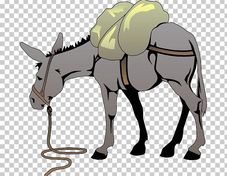 Donkey PNG, Clipart, Animals, Blog, Bridle, Cartoon, Donkey Free PNG Download