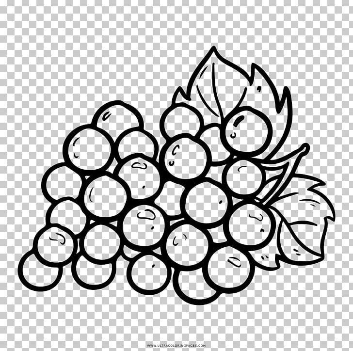 Grapevines Coloring Book Fruit PNG, Clipart, Adult, Black And White, Book, Circle, Coloring Free PNG Download