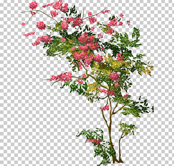 Tree Shrub Floral Design PNG, Clipart, Branch, Cut Flowers, Flora, Floristry, Flower Free PNG Download