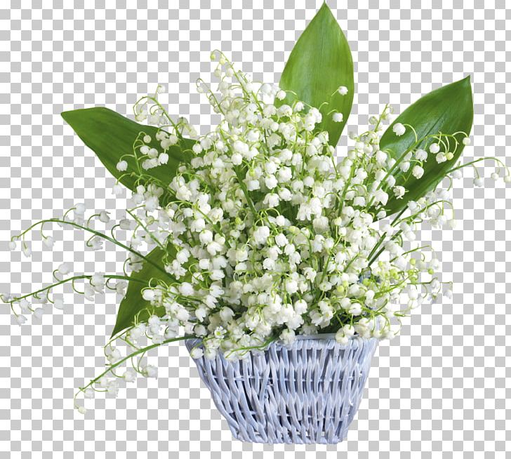 Lily Of The Valley May 1 Party Labour Day May Day PNG, Clipart, Cut Flowers, Fathers Day, Floral Design, Floristry, Flower Free PNG Download