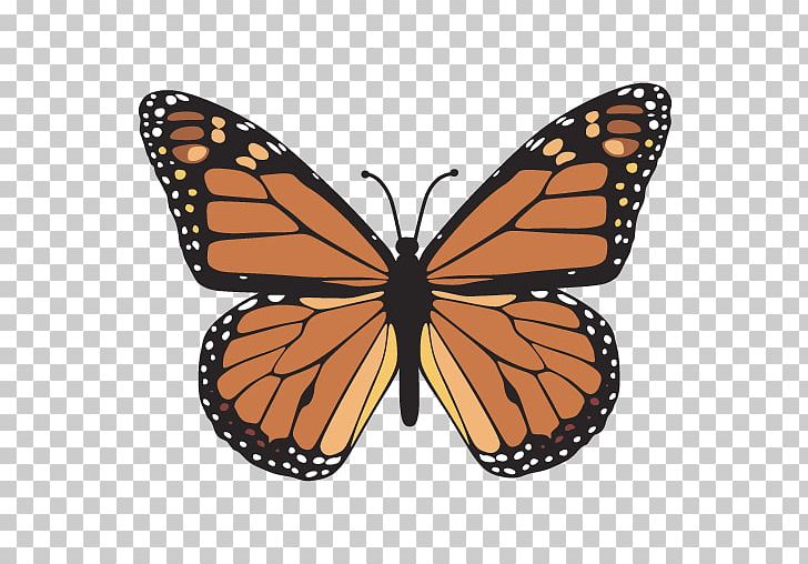 The Monarch Butterfly Drawing PNG, Clipart, Arthropod, Brush Footed Butterfly, Butterfly, Butterfly Clipart, Caterpillar Free PNG Download
