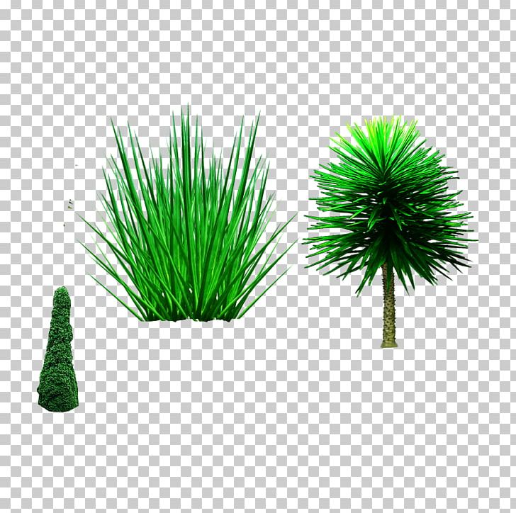 Tree Shrub Plant PNG, Clipart, Animation, Box, Castle, Christmas Tree, Cutout Free PNG Download