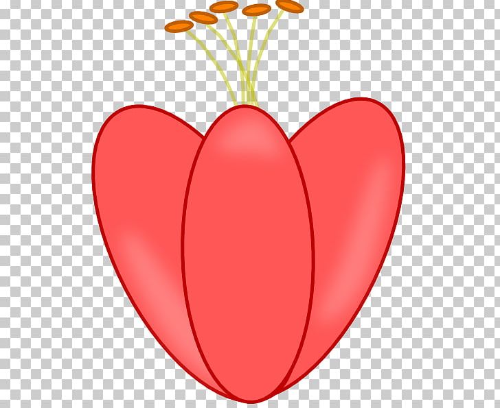 Valentine's Day Fruit PNG, Clipart,  Free PNG Download