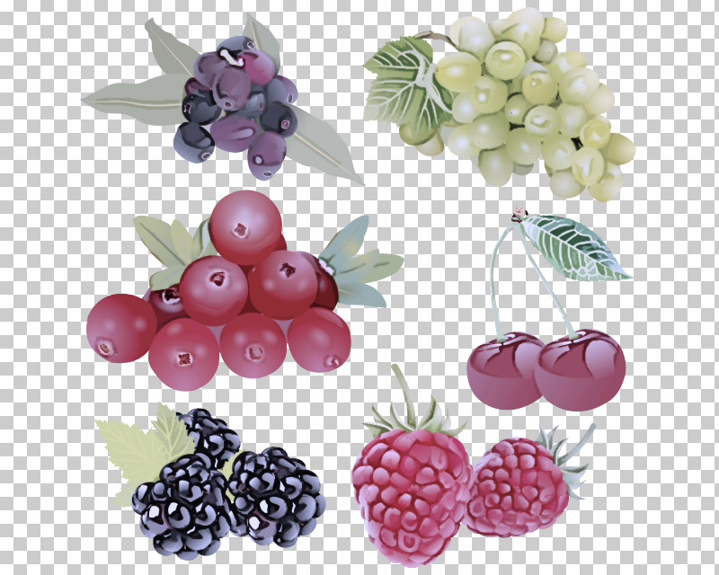 Berry Fruit Plant Seedless Fruit Blackberry PNG, Clipart, Berry, Blackberry, Flower, Food, Fruit Free PNG Download