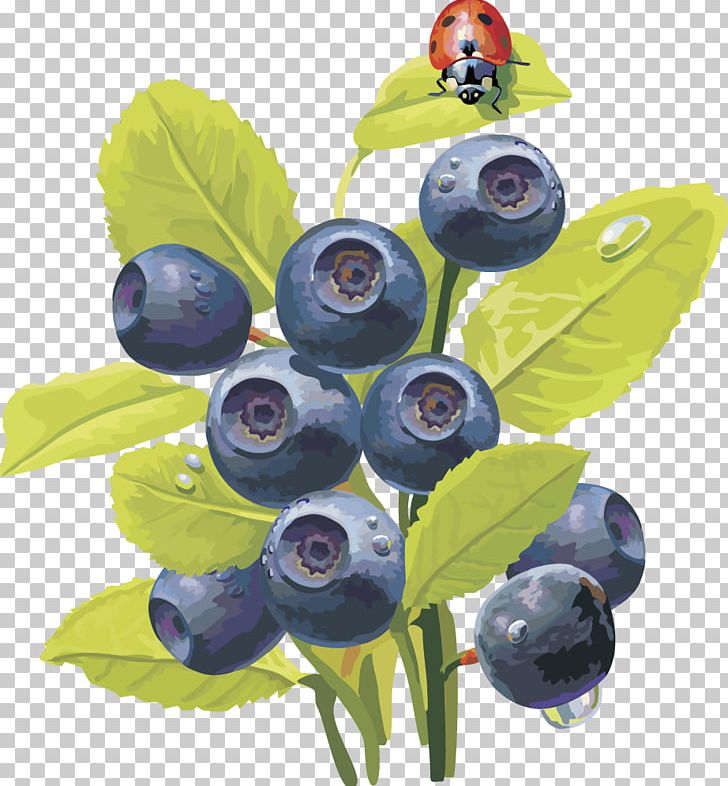 Bilberry Blueberry Embroidery Vaccinium Uliginosum PNG, Clipart, Apple Fruit, Bead, Cherries, Cherry, Chinese Lantern Free PNG Download