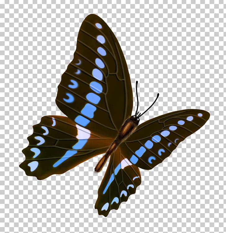 Butterfly Transparency And Translucency Icon PNG, Clipart, Android, Blue, Brush Footed Butterfly, Butterflies, Butterfly Group Free PNG Download