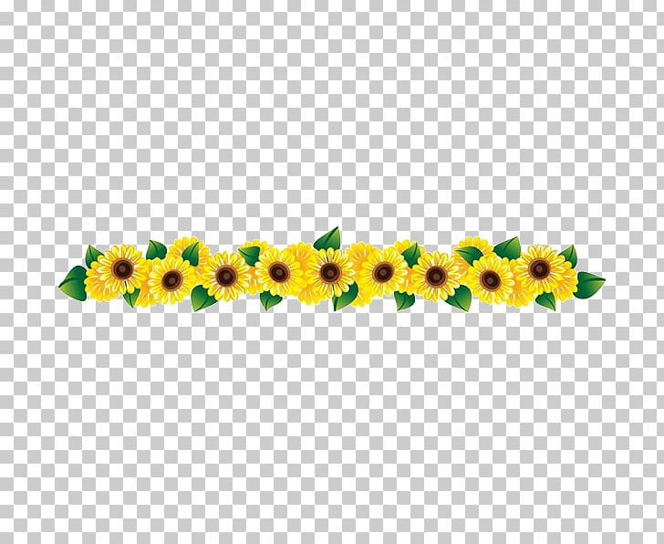 Common Sunflower PNG, Clipart, Beautiful, Beautiful Girl, Beauty, Beauty Salon, Drawing Free PNG Download