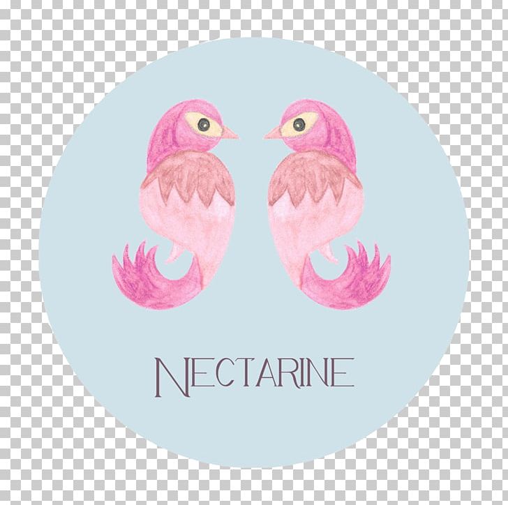 Water Bird Pink M Font PNG, Clipart, Animals, Bird, Pink, Pink M, Water Bird Free PNG Download