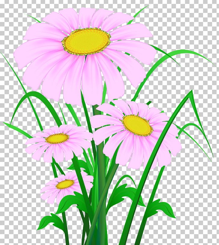 Flower PNG, Clipart, Artwork, Chrysanths, Clip Art, Color, Common Daisy Free PNG Download