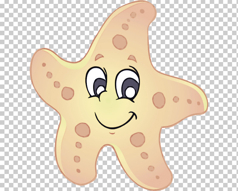 Starfish Ocean Sea Star Oreaster Reticulatus PNG, Clipart, Benthic Zone, Drawing, Ocean, Oreaster Reticulatus, Sea Free PNG Download