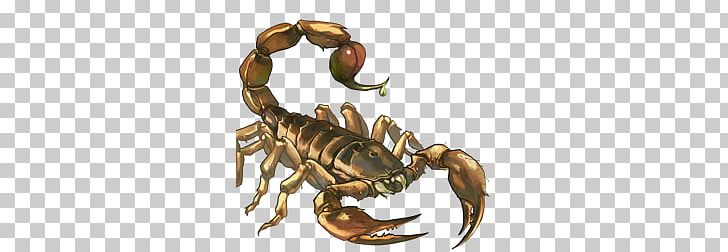 Scorpions PNG, Clipart, Scorpions Free PNG Download