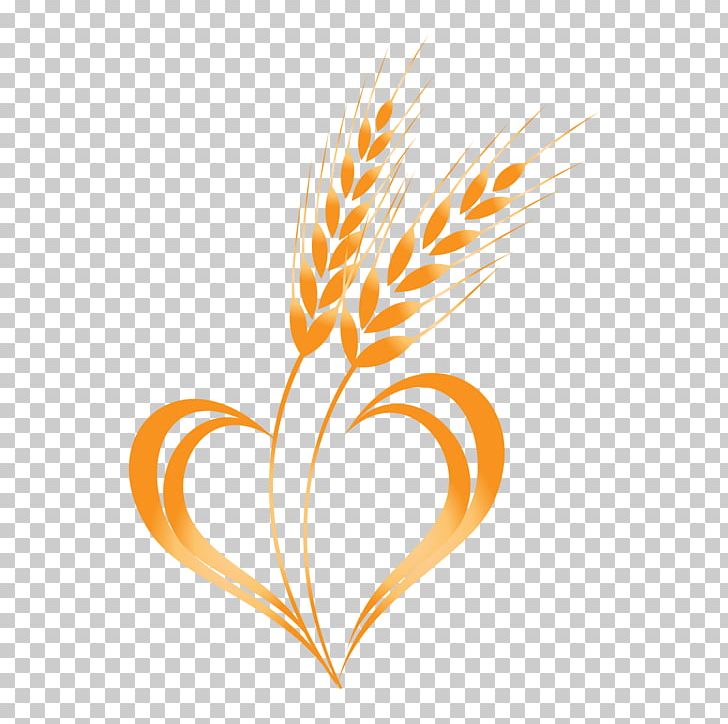 Wheat PNG, Clipart, Cereal, Clip Art, Commodity, Computer Icons, Drawing Free PNG Download