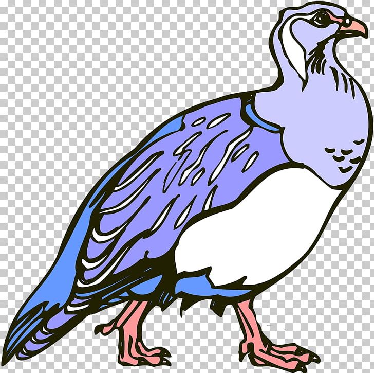 Beak Galliformes Line Art Vulture PNG, Clipart, Animal, Animal Figure, Artwork, Beak, Bird Free PNG Download