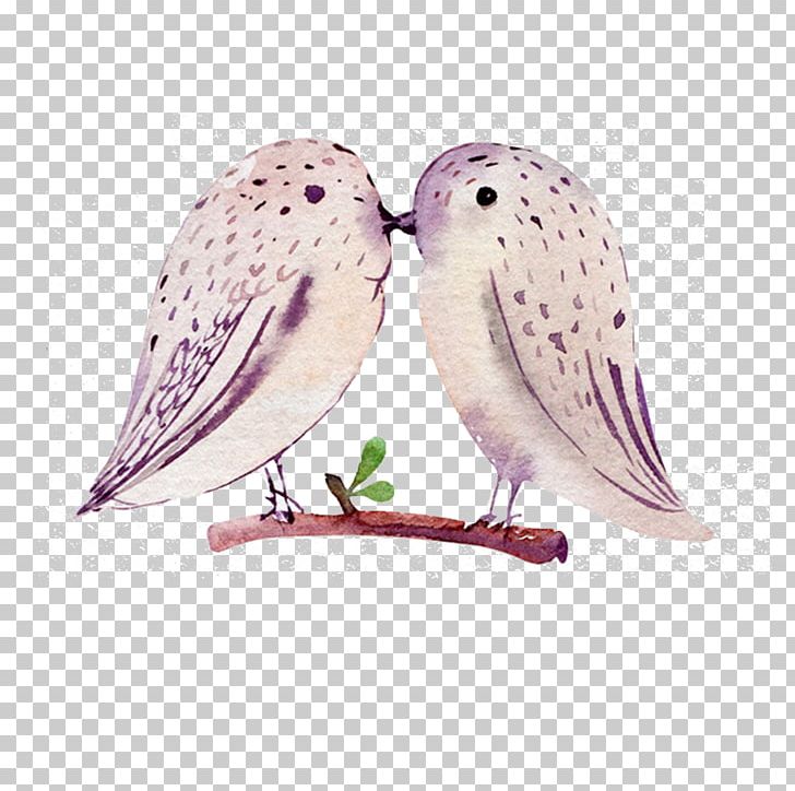 Bird Feather Watercolor Painting Throw Pillow PNG, Clipart, Animals, Beak, Bird, Bird Cage, Bird Nest Free PNG Download