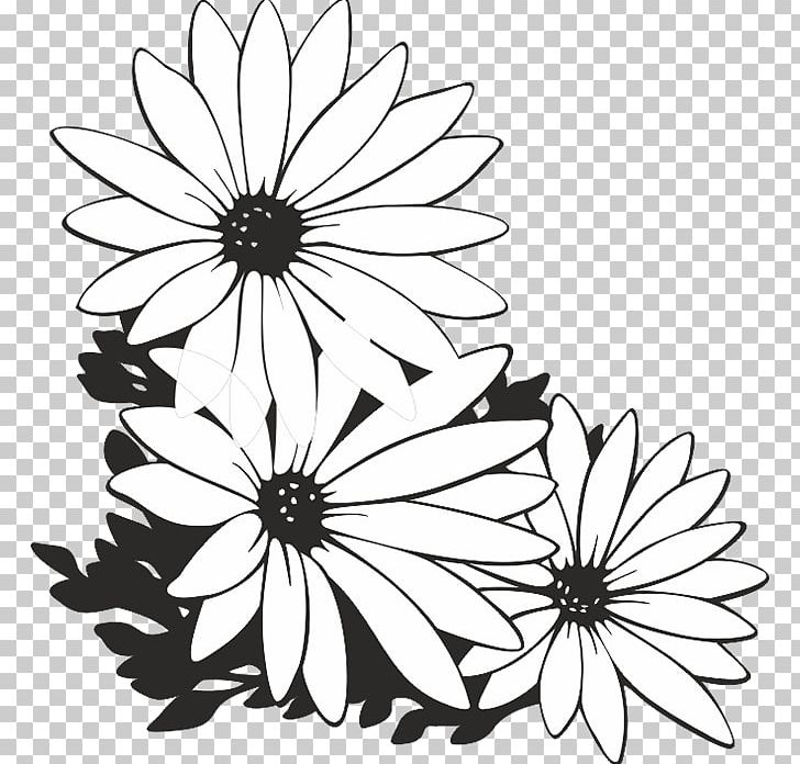 Flower Black And White PNG, Clipart, Artwork, Bicycle Wheel, Black And White, Boyfriend, Chrysanths Free PNG Download