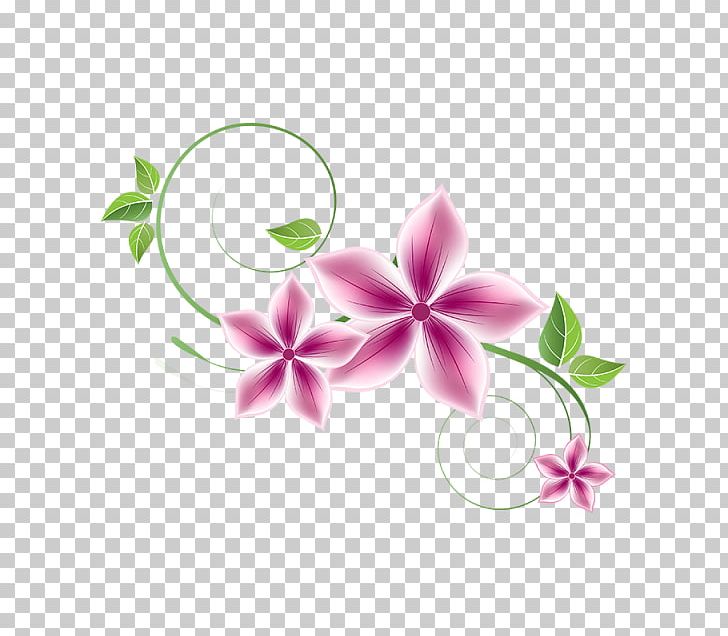 Flower PNG, Clipart, Art, Computer Wallpaper, Cut Flowers, Encapsulated Postscript, Flora Free PNG Download