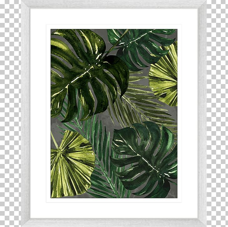 Frames Leaf Tree Plant PNG, Clipart, Evergreen, Leaf, Picture Frame, Picture Frames, Plant Free PNG Download