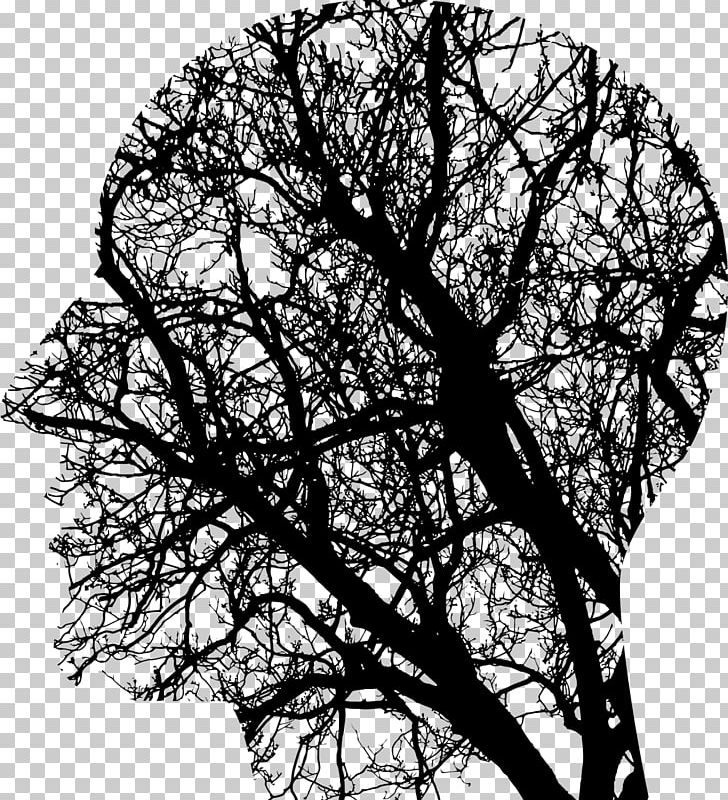 Human Brain Neurofeedback Transcranial Magnetic Stimulation Acid Gras Omega-3 PNG, Clipart, Anatomy, Brain Injury, Branch, Docosahexaenoic Acid, Eicosapentaenoic Acid Free PNG Download