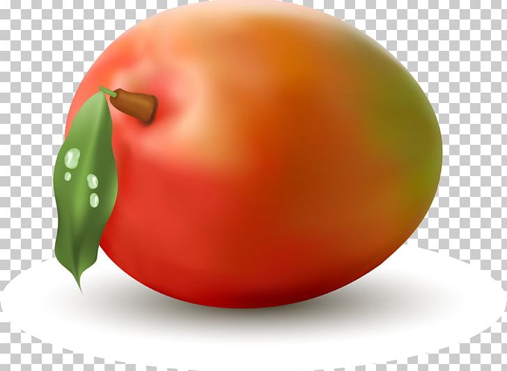 Mango Fruit Carambola PNG, Clipart, Apple, Apricot, Bell Peppers And Chili Peppers, Bush Tomato, Carambola Free PNG Download