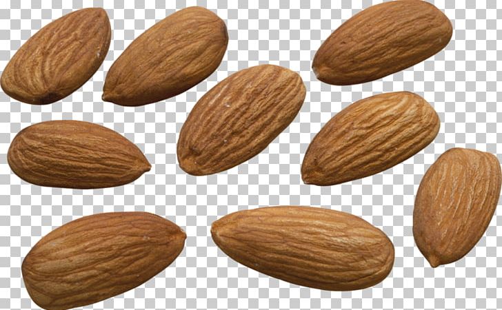 Nut Almond Milk Almond Biscuit PNG, Clipart, Africa Map, Almond, Almond Biscuit, Almond Milk, Apricot Kernel Free PNG Download