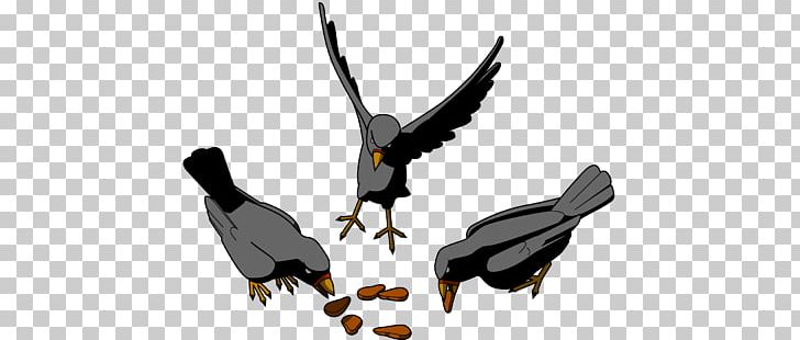 Bird Food PNG, Clipart, Animals, Animation, Beak, Bird, Bird Egg Free PNG Download