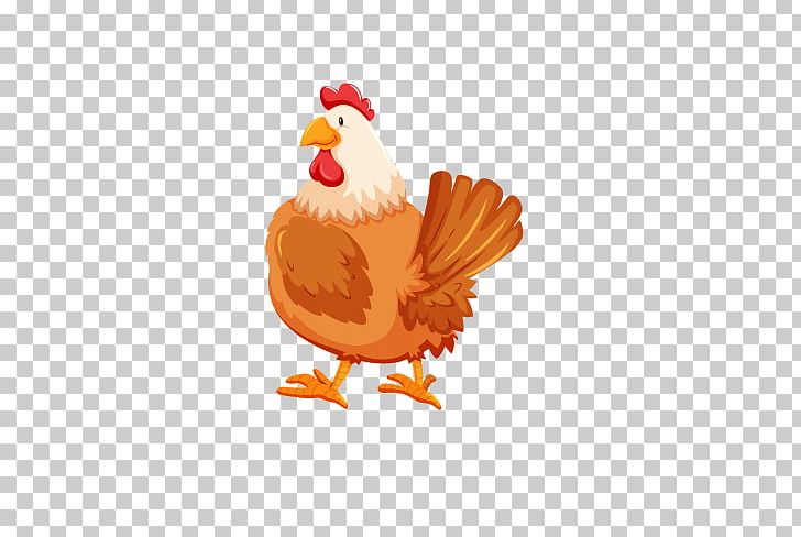 Chicken Rooster Cartoon PNG, Clipart, Animal, Animals, Animation, Beak, Bird Free PNG Download