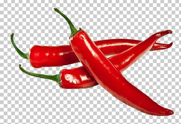 Chutney Chili Pepper Indian Cuisine Chili Powder Spice PNG, Clipart, Bell Pepper, Birds Eye Chili, Cayenne Pepper, Dried Fruit, Food Free PNG Download
