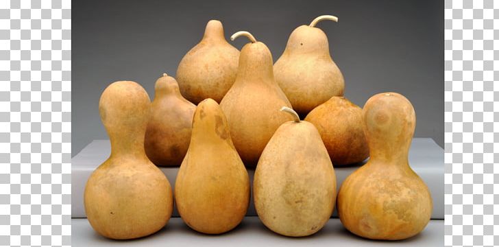 Gourd Calabash Cucurbitaceae Calabaza PNG, Clipart, Art, Bottle, Bottle Gourd, Calabash, Calabaza Free PNG Download