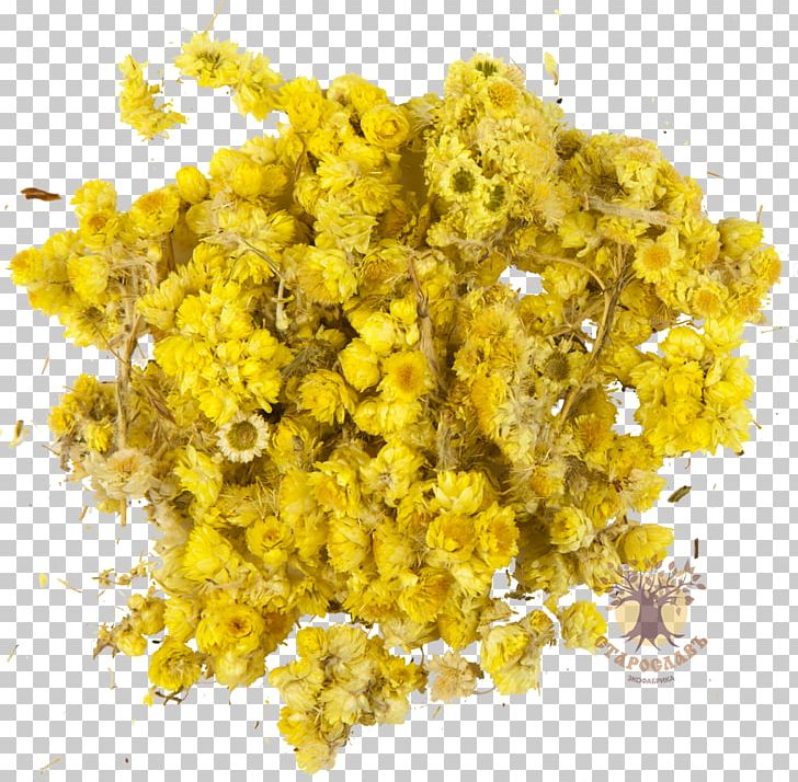 Helichrysum Arenarium Turmeric Yellow Herb Dye PNG, Clipart, Color, Dye, Everlasting Flowers, Helichrysum Arenarium, Herb Free PNG Download