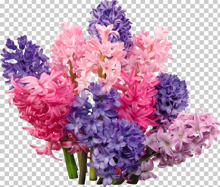 Hyacinth Flower PNG, Clipart, Annual Plant, Artificial Flower, Bulb, Computer Icons, Cut Flowers Free PNG Download