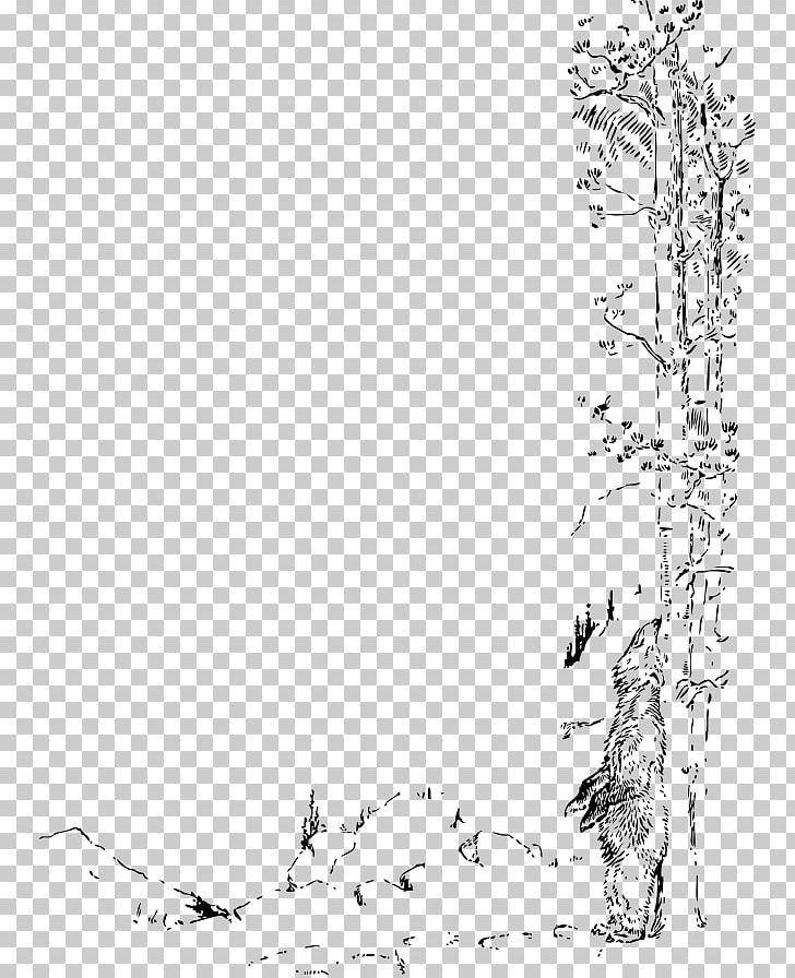 White Branch Others PNG, Clipart, Area, Artwork, Black, Black And White, Branch Free PNG Download