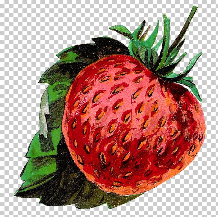 Strawberry Accessory Fruit PNG, Clipart, Accessory Fruit, Art Illustration, Berry, Clip, Downloads Free PNG Download