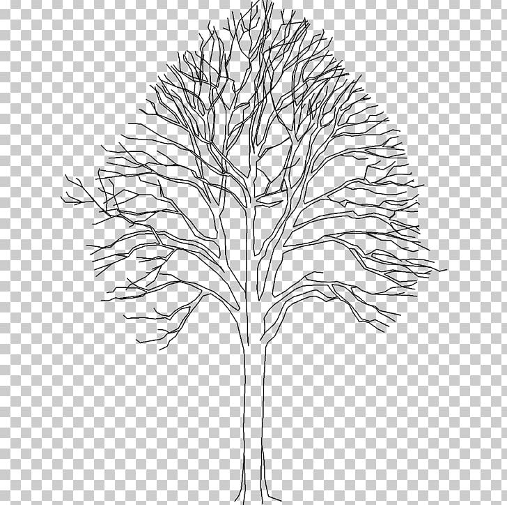 Twig Plant Stem Leaf Line Flowering Plant PNG, Clipart, Black And White, Branch, Drawing, Flora, Flowering Plant Free PNG Download